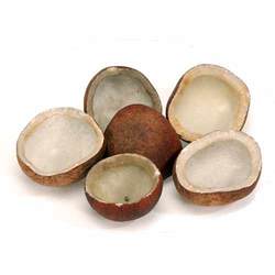 Dried Coconut Copra Manufacturer Supplier Wholesale Exporter Importer Buyer Trader Retailer in Coimbatore Tamil Nadu India